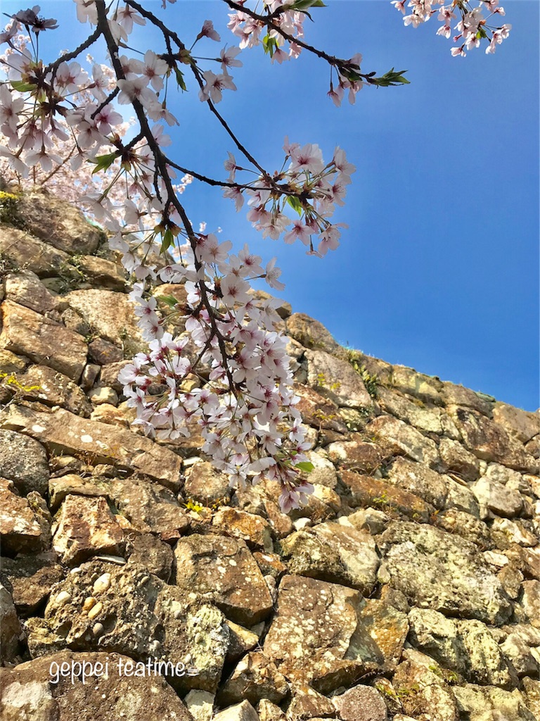 f:id:geppeiteatime:20180408163640j:image