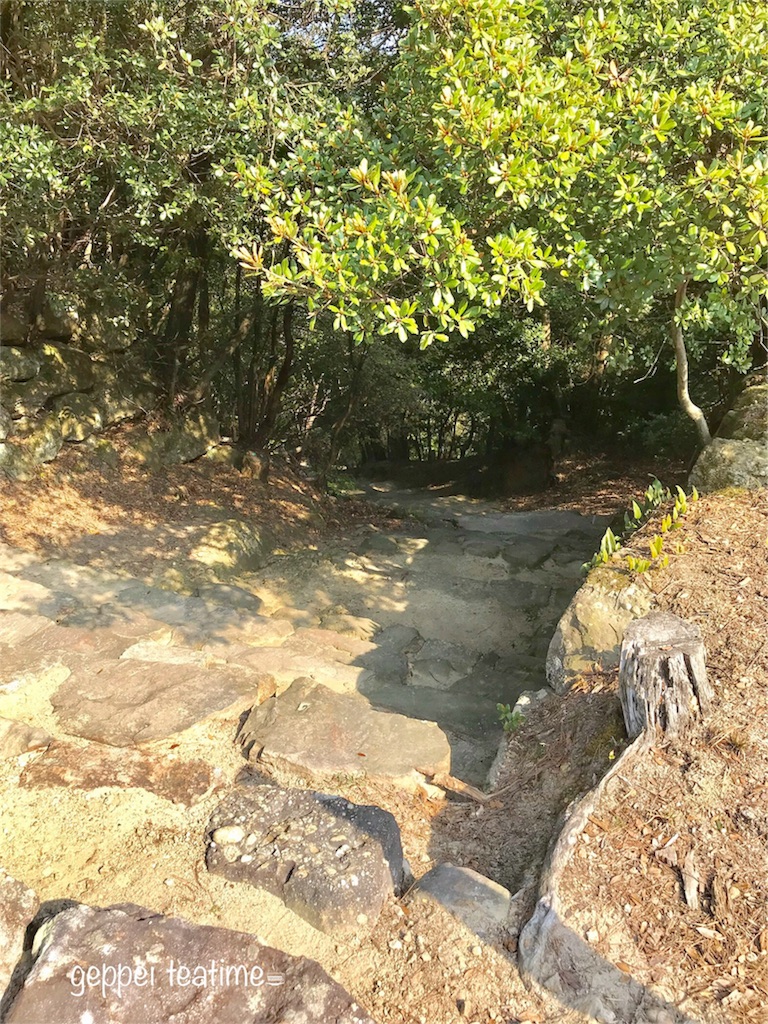 f:id:geppeiteatime:20180408163739j:image