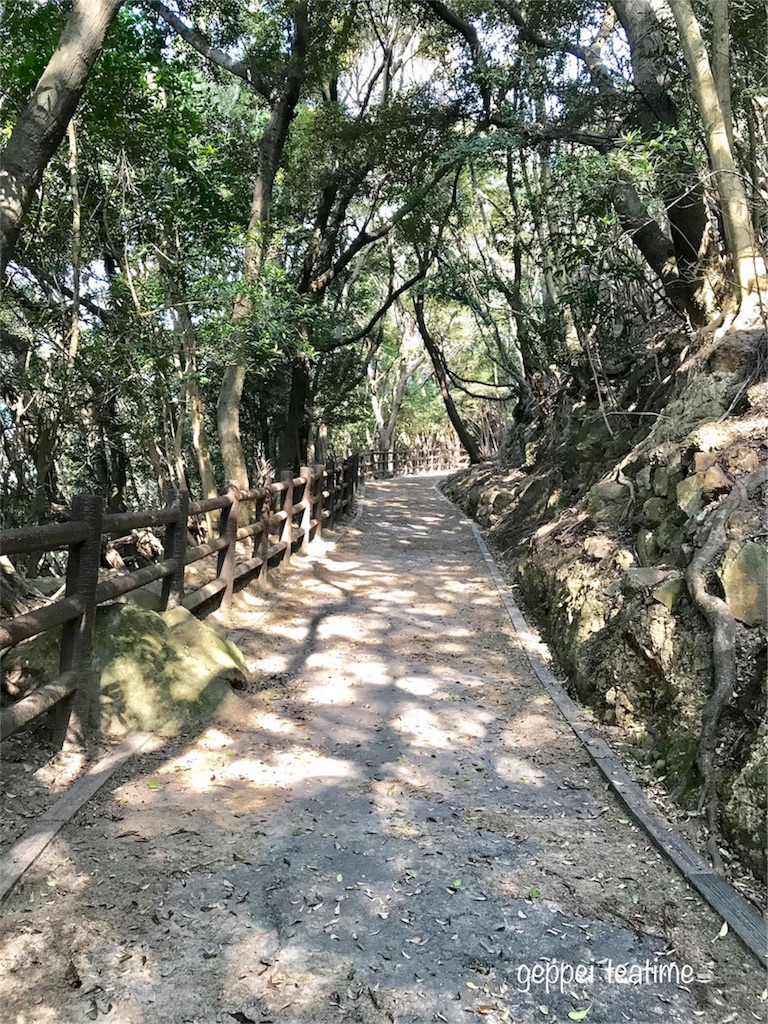 f:id:geppeiteatime:20180408163819j:image