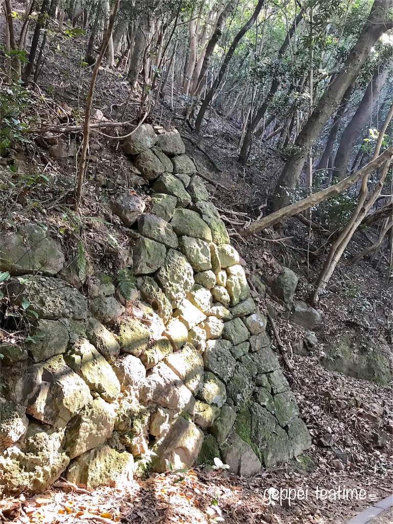 f:id:geppeiteatime:20180408163841j:image