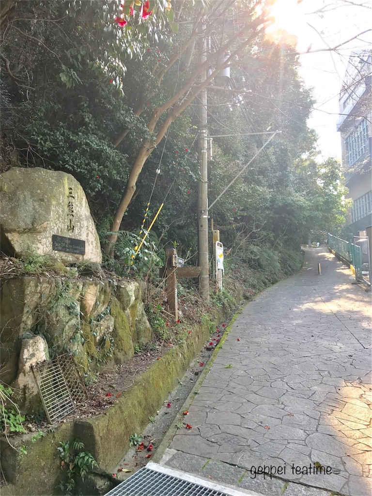 f:id:geppeiteatime:20180408163931j:image