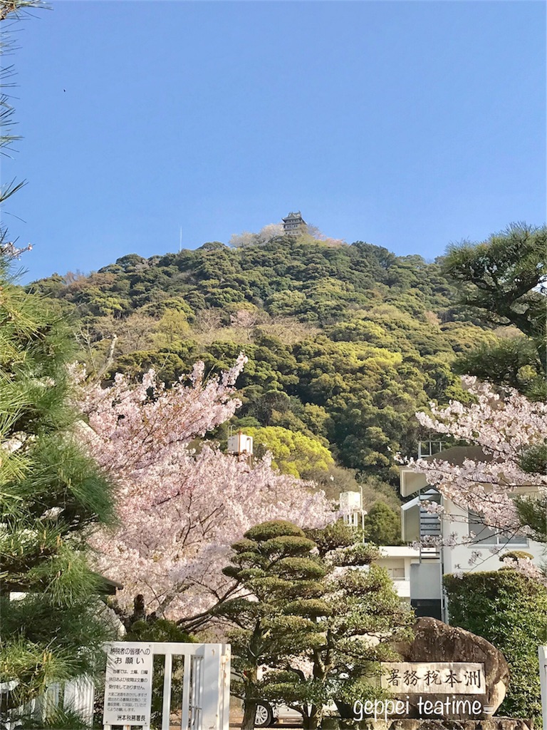 f:id:geppeiteatime:20180408164019j:image