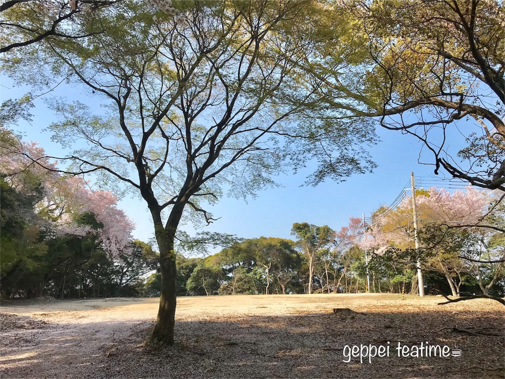 f:id:geppeiteatime:20180419121505j:image