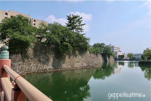 f:id:geppeiteatime:20190803164044j:image f:id:geppeiteatime:20190803164044j:image
