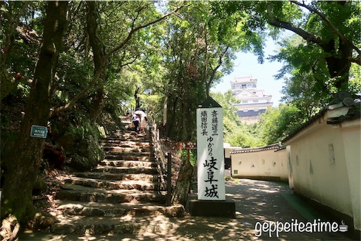 f:id:geppeiteatime:20190815140007j:image f:id:geppeiteatime:20190815140007j:image