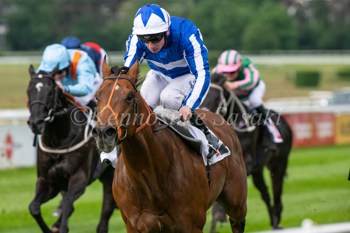 f:id:german-racing:20190520025732j:plain