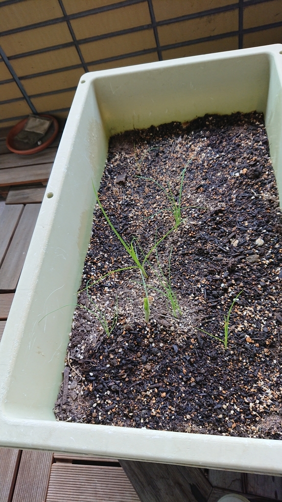 f:id:gernkun:20181029214151j:plain