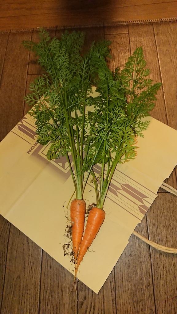 f:id:gernkun:20181220213508j:plain