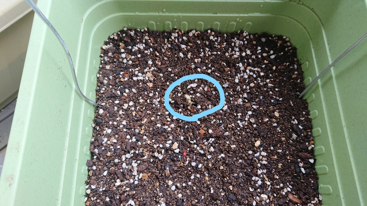 f:id:gernkun:20190722213950j:plain