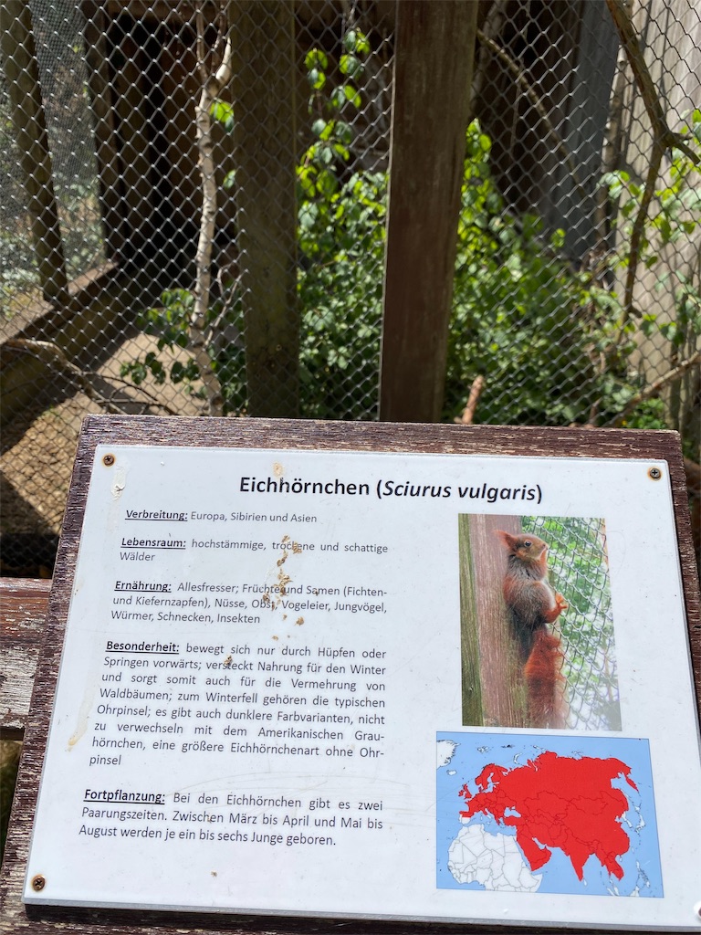 f:id:gernscheimer:20200804072043j:image f:id:gernscheimer:20200804072043j:image