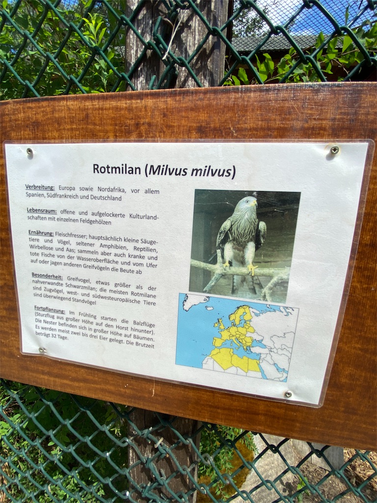 f:id:gernscheimer:20200804072740j:image f:id:gernscheimer:20200804072740j:image