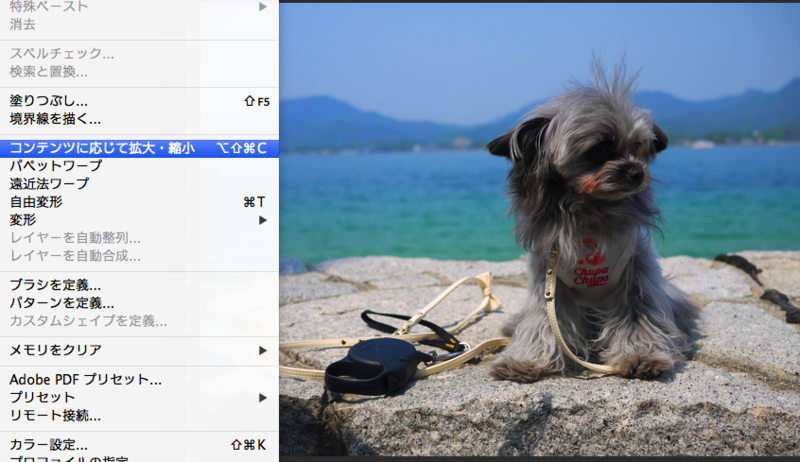 f:id:gerogerokaeru:20140319223559p:image:w360 f:id:gerogerokaeru:20140319223559p:image:w360