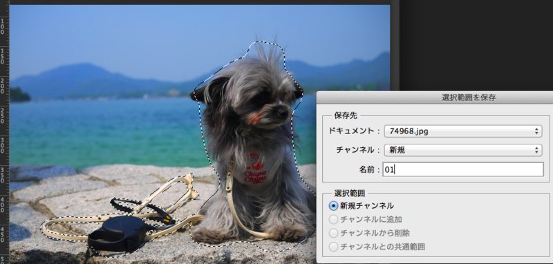 f:id:gerogerokaeru:20140319223600p:image:w360 f:id:gerogerokaeru:20140319223600p:image:w360