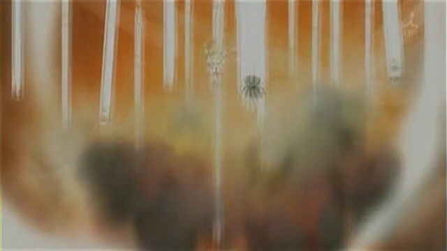 f:id:geromi:20110108170808j:image:h200
