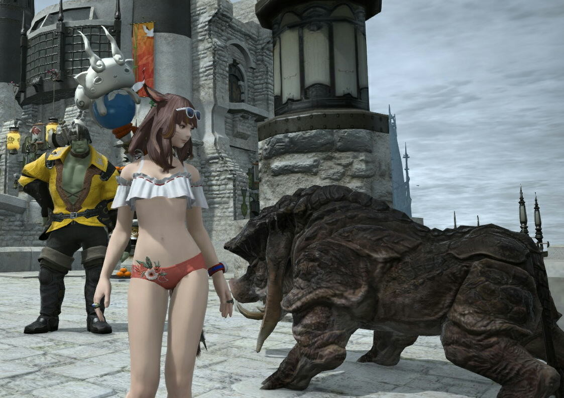 f:id:geromi:20190101144101j:image:h240