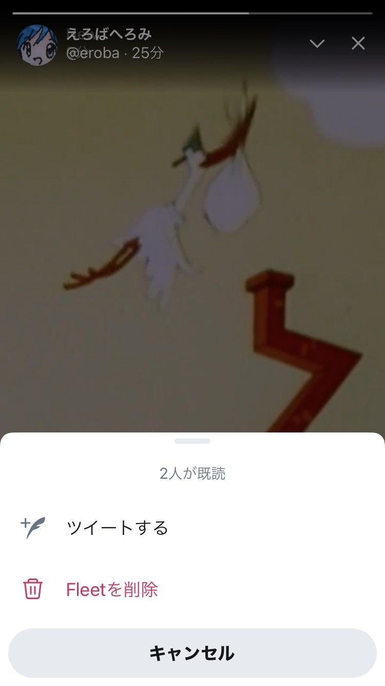 f:id:geromi:20201119043208j:image:h280