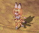 f:id:geromi:20201125172946j:image