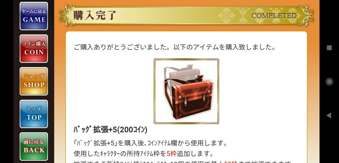 f:id:geromi:20210222214918j:image:w480