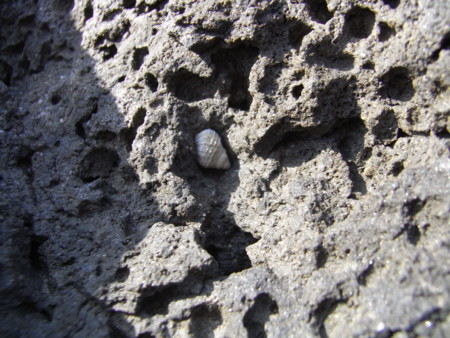 f:id:gerongcha:20110211151524j:image f:id:gerongcha:20110211151524j:image