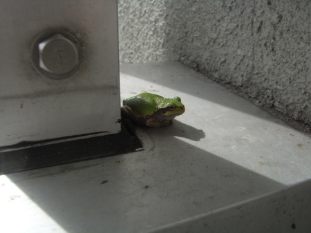 f:id:gerongcha:20111022130716j:image f:id:gerongcha:20111022130716j:image