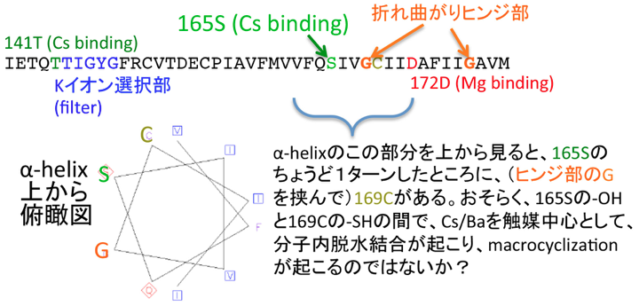 f:id:geruman_bingo:20191224125216p:plain