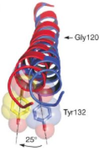 f:id:geruman_bingo:20191224125827p:plain