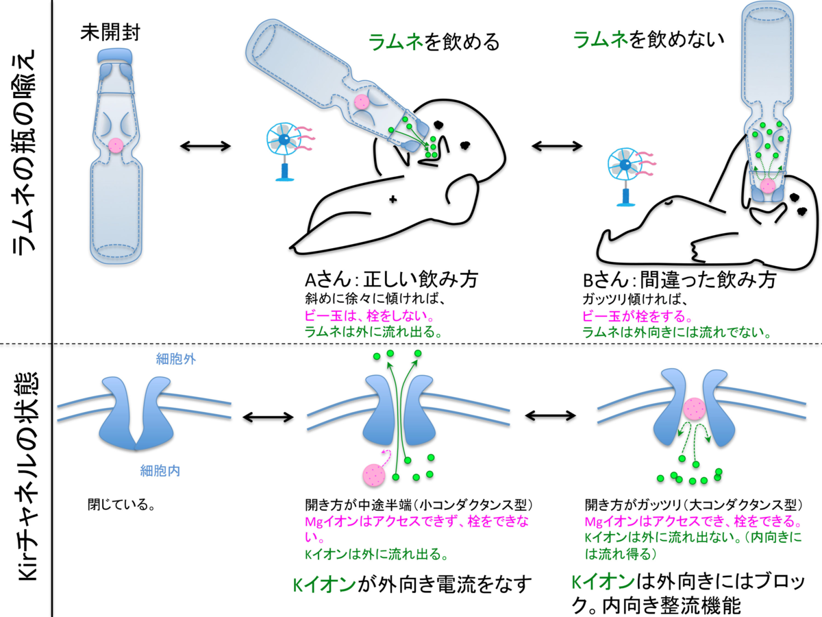 f:id:geruman_bingo:20191225130619p:plain