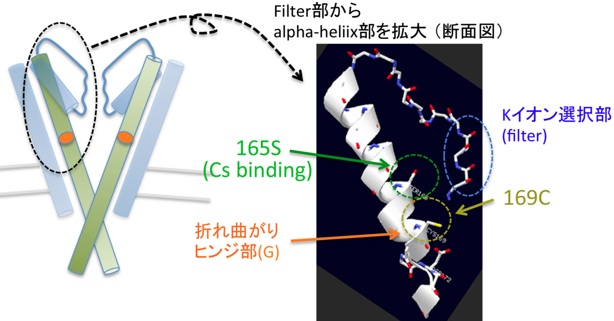 f:id:geruman_bingo:20200108084909p:plain