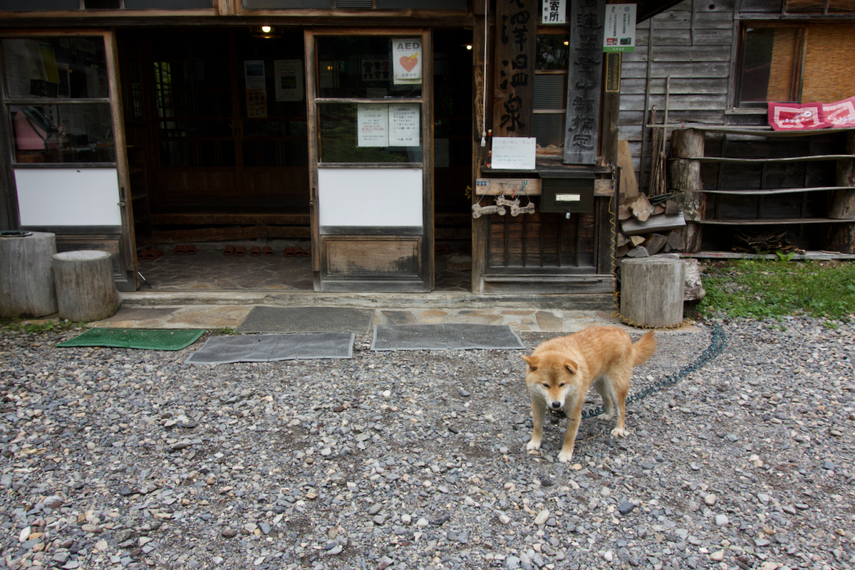 f:id:gerushiyama:20190826223359j:plain f:id:gerushiyama:20190826223359j:plain