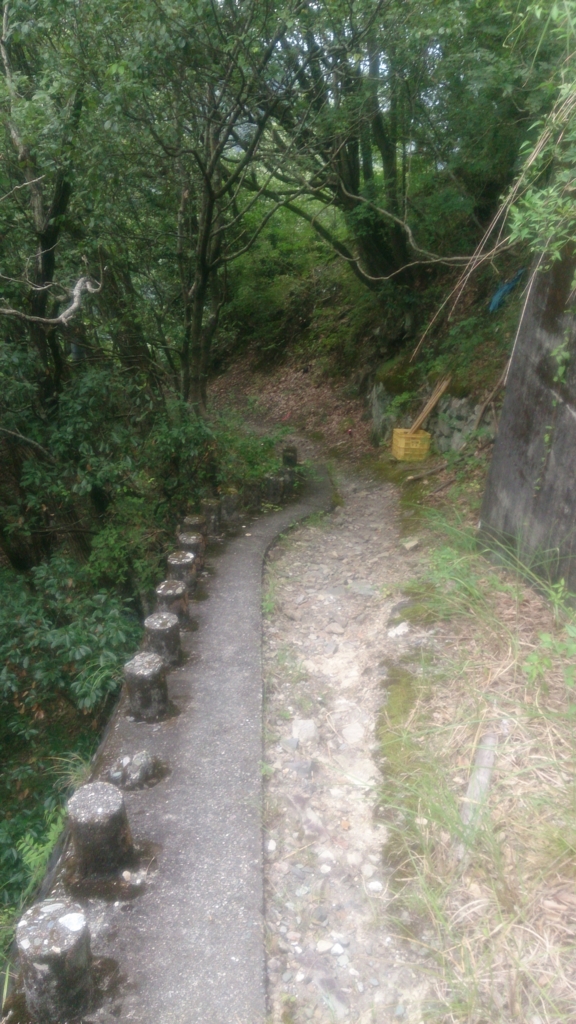 f:id:geshuatama:20160914160608j:plain f:id:geshuatama:20160914160608j:plain
