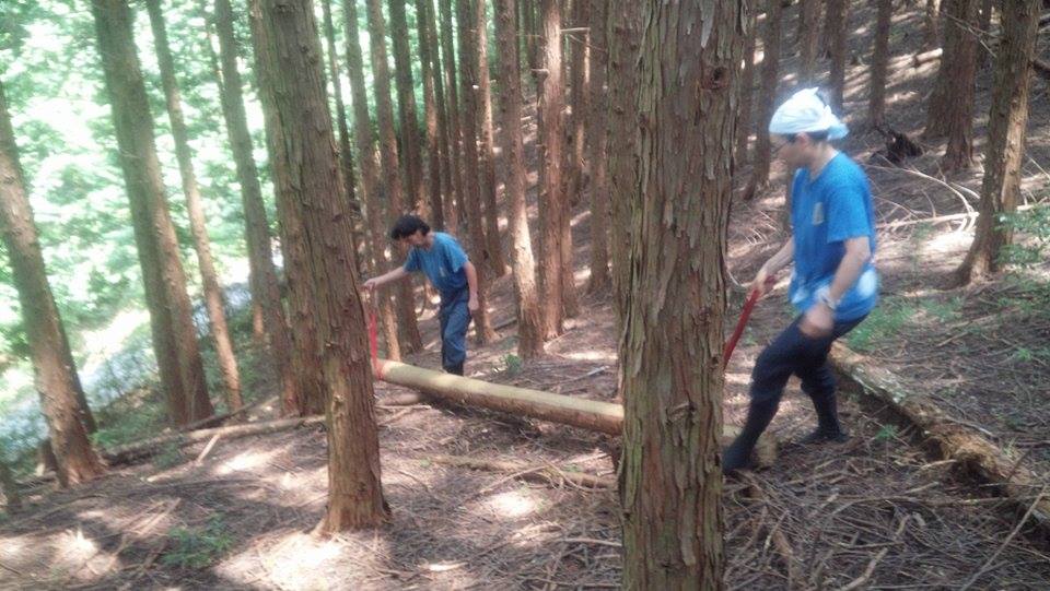 f:id:gesthouseen:20160803103422j:plain f:id:gesthouseen:20160803103422j:plain
