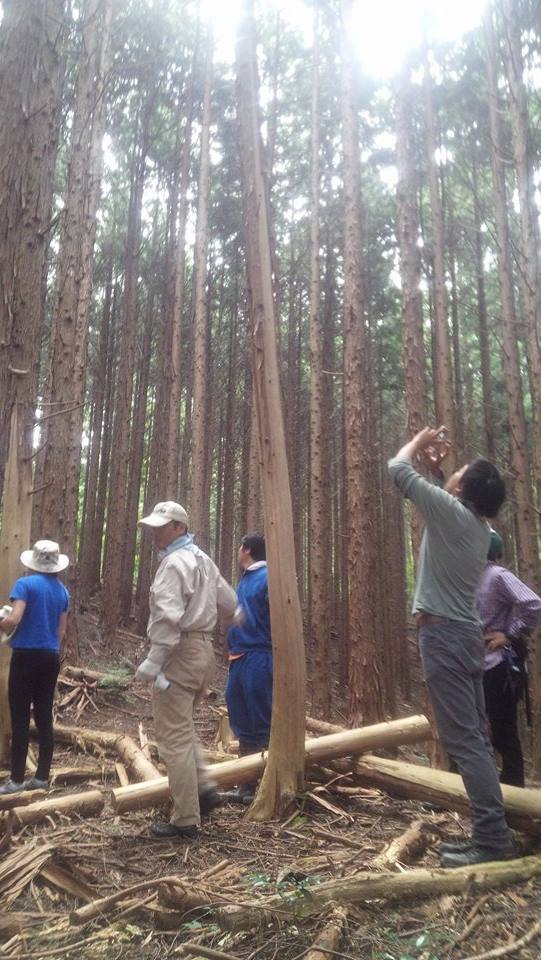 f:id:gesthouseen:20160803103613j:plain f:id:gesthouseen:20160803103613j:plain