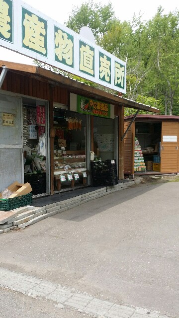 f:id:gesunekochang:20180606083247j:image