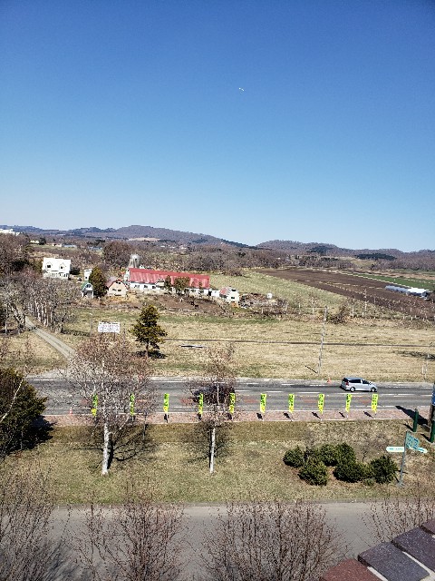 f:id:gesunekochang:20190414095923j:image