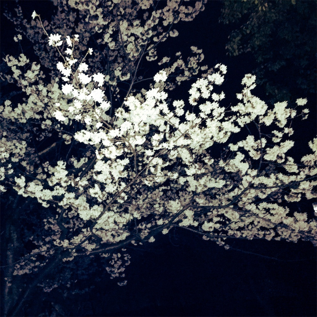 f:id:get-back-pluto:20190328023807j:image