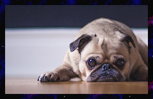 f:id:get-habit:20160706154310j:plain