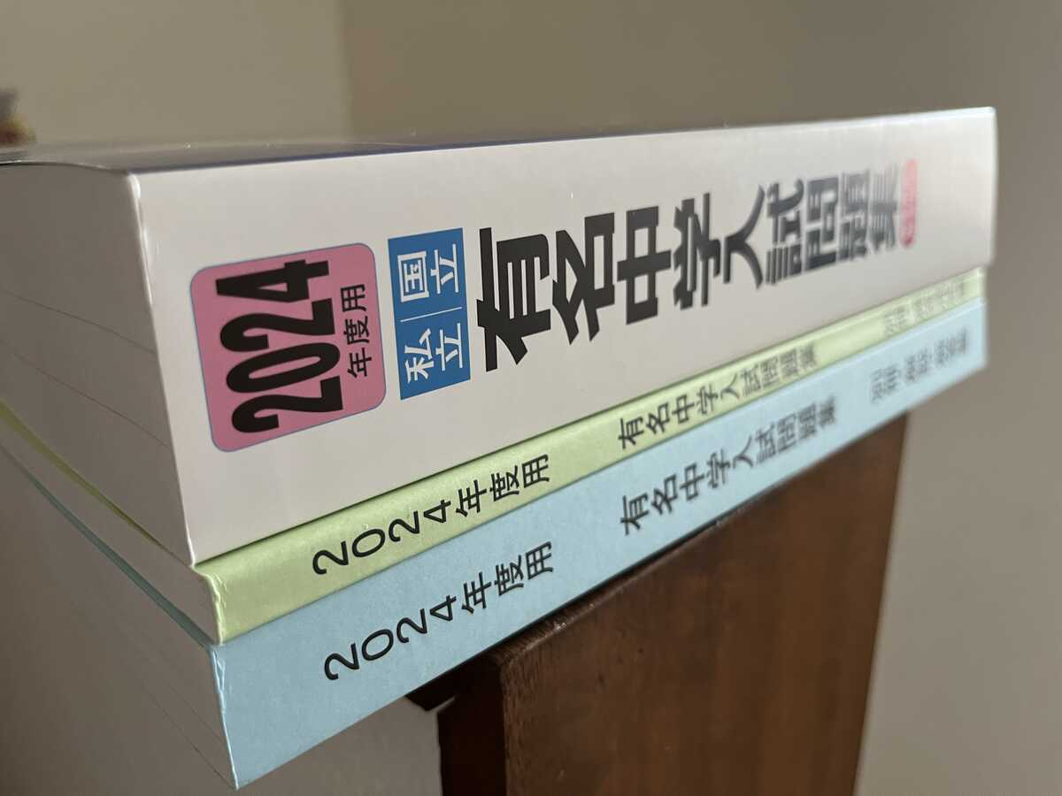 有名中　2024 2025 年度 有名中 2024 2025 年度 2025年モデルのNinja ZX-10Rと2024年モデル