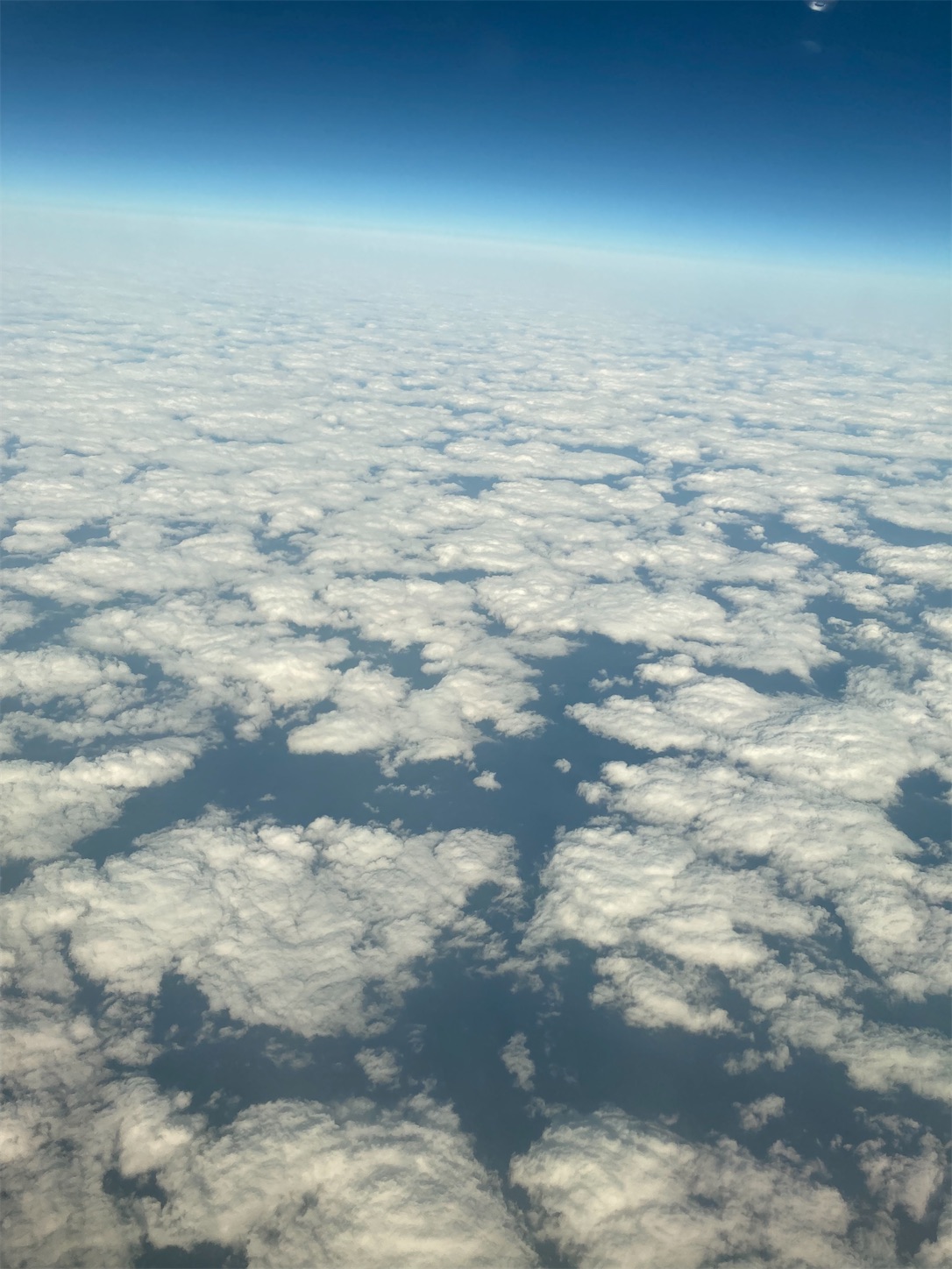f:id:gfinthebase:20260129221852j:image