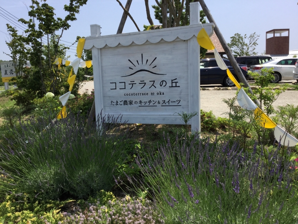 f:id:ggchita:20180609140923j:plain