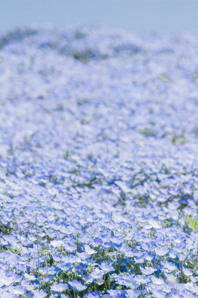 f:id:gghhe5454:20190301190553j:plain