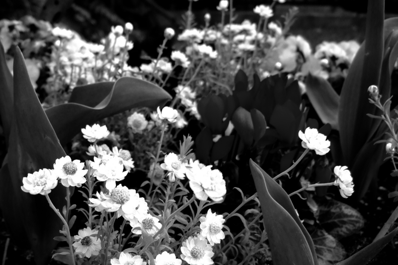 f:id:gghideki:20110328151800j:image