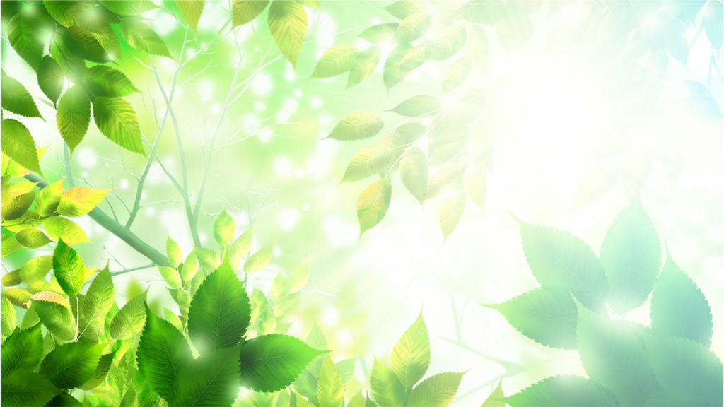 f:id:ggnggndpttn:20210312034920p:image
