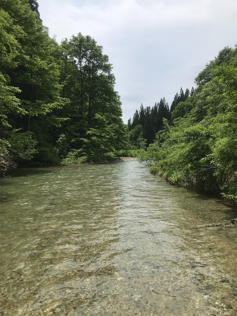 f:id:ggyoshiro:20210608071228j:image f:id:ggyoshiro:20210608071228j:image