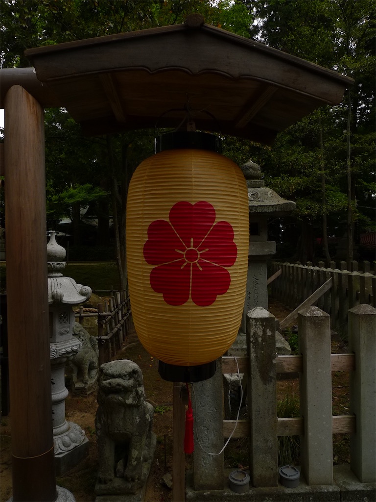f:id:ggyoshiro:20220526093634j:image f:id:ggyoshiro:20220526093634j:image