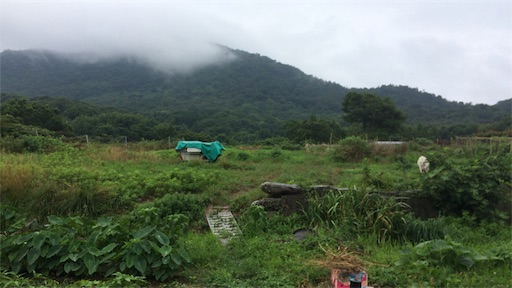 f:id:ghanabun:20170718234526j:image f:id:ghanabun:20170718234526j:image