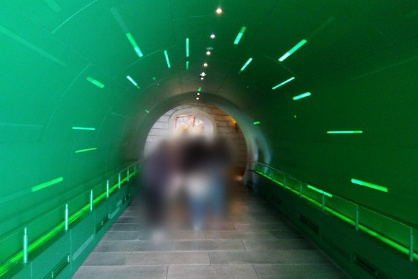 f:id:gharuto:20241127112453j:image