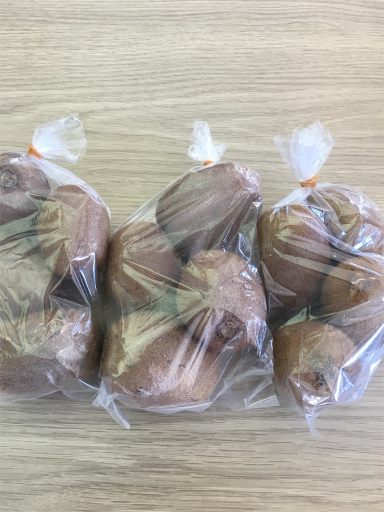 f:id:ghc-sekihochouki:20170126145059j:image