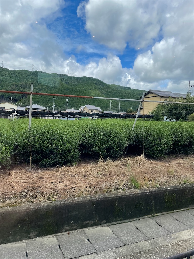 f:id:ghibli_man:20210921210036j:image f:id:ghibli_man:20210921210036j:image