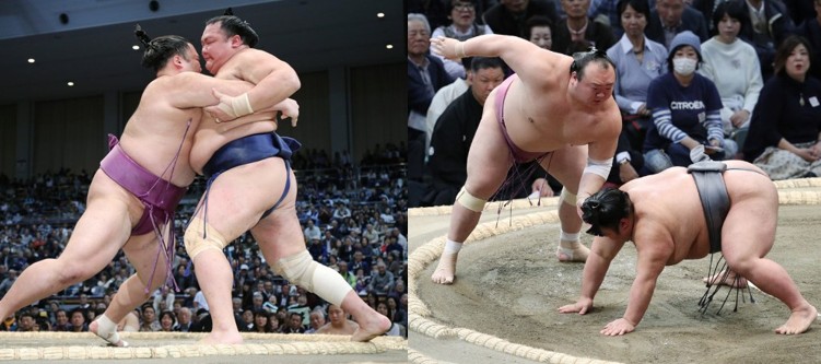 f:id:ghidorahcula:20191114215108j:plain