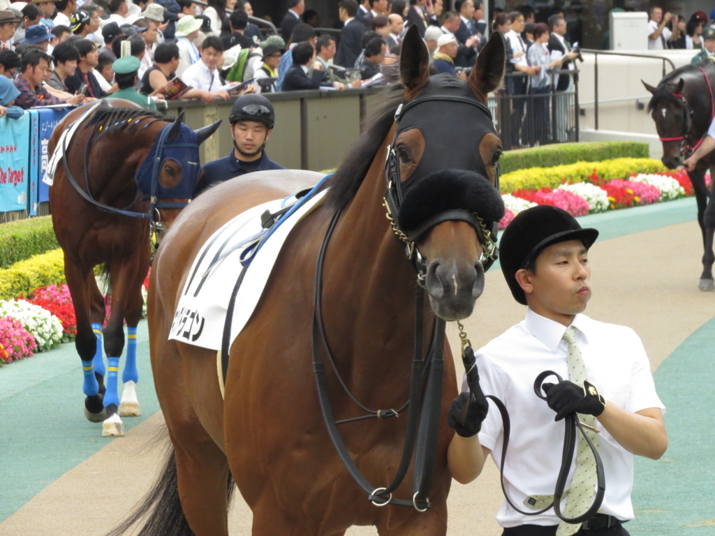 f:id:giant_killing:20170530002711j:plain